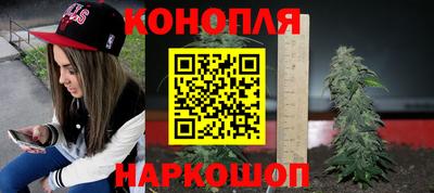 гидра Волгодонск