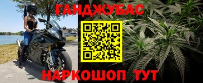 гидра Волгодонск