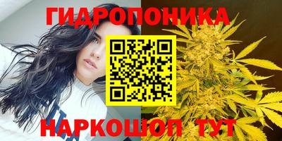 гидра Волгодонск