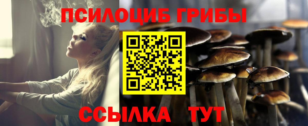 Переславль-Залесский  Галлюциногенные грибы Psilocybine cubensis  Вход с VPN 